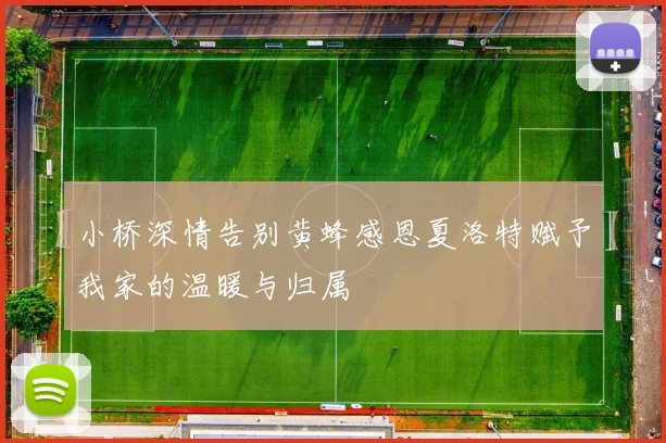 小桥深情告别黄蜂感恩夏洛特赋予我家的温暖与归属